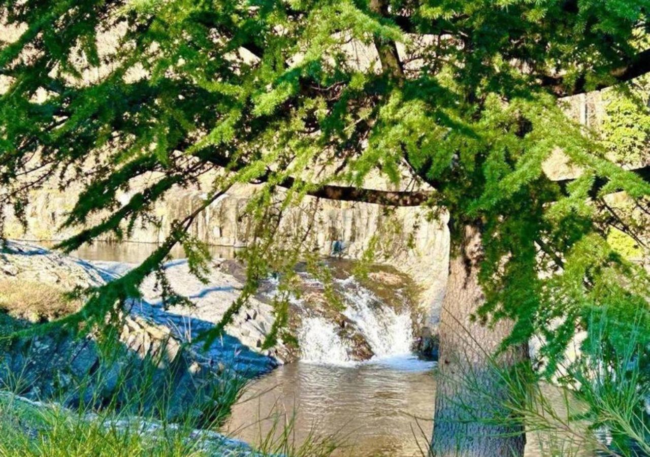 Rives De Bourges Διαμέρισμα Burzet Εξωτερικό φωτογραφία